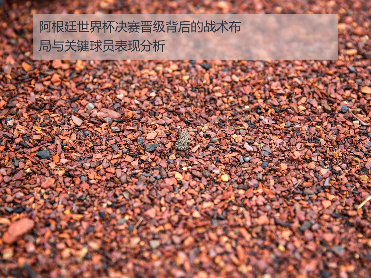 阿根廷世界杯决赛晋级背后的战术布局与关键球员表现分析
